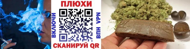ГАШ Premium  Краснообск 