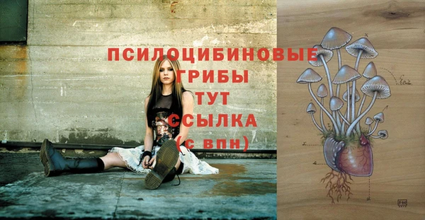 дмт Алексин