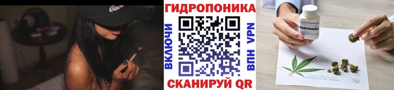 цена наркотик  Краснообск  Бошки Шишки THC 21% 
